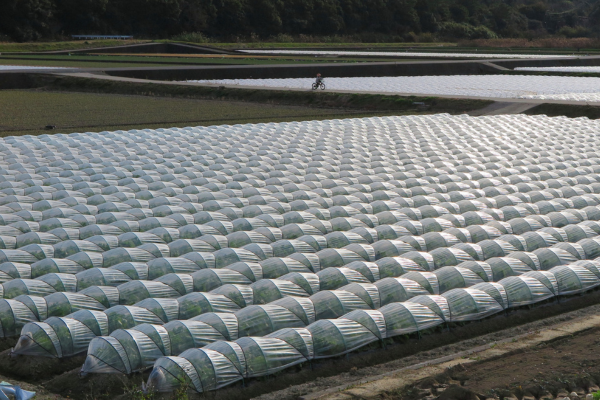 agricultural plastics