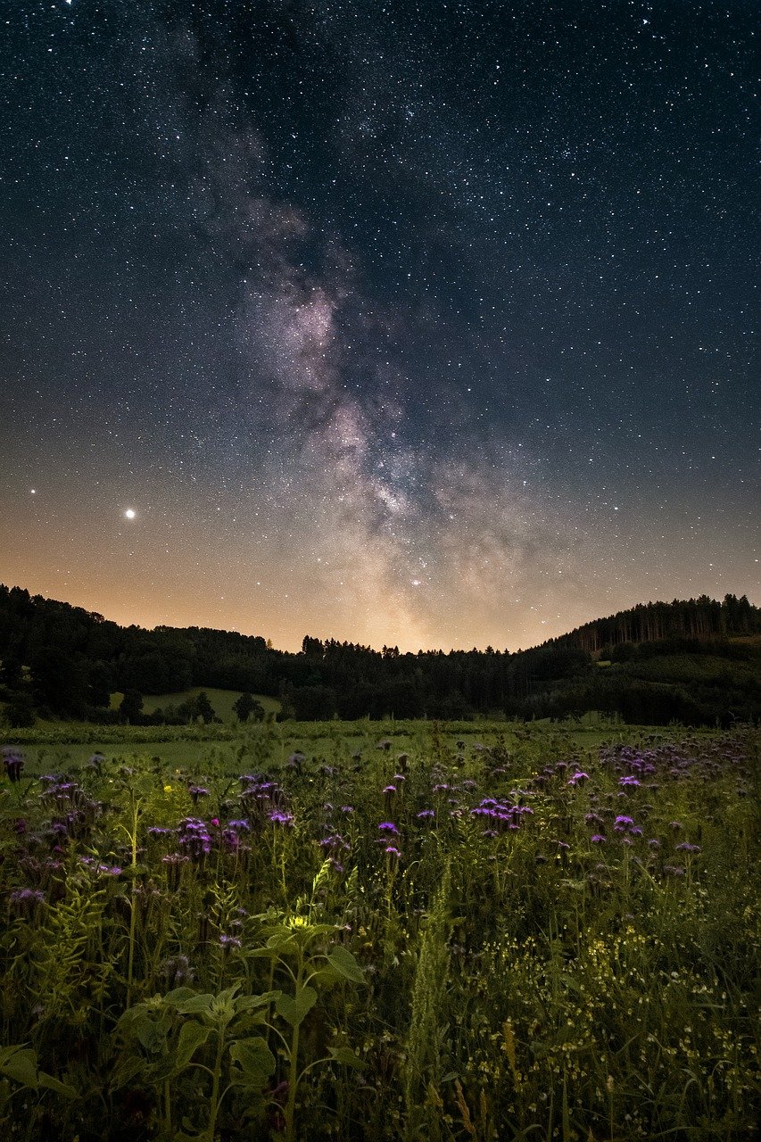 starry sky, nature, flower meadow, flower wallpaper, night, milky way, landscape, universe, flowers, meadow, galaxy, astronomy, space, earth, beautiful flowers, flower background, long exposure